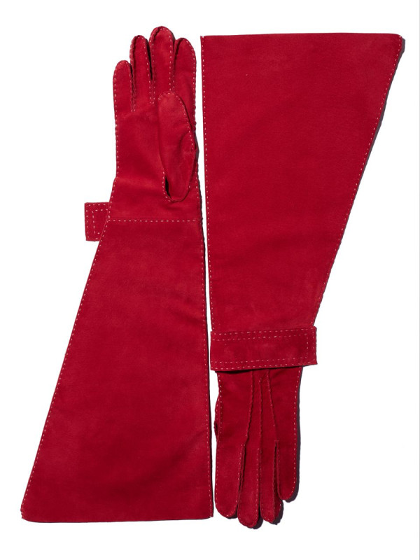 To be: forceful & sovereign & apple red