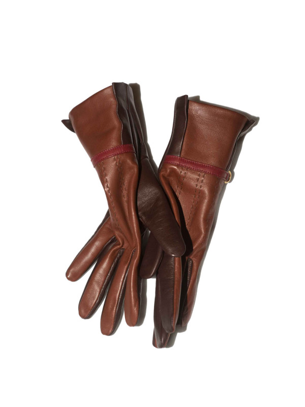  To be: forceful & significant & bicolor & brown